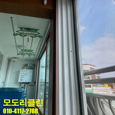 모도리클린 이미지