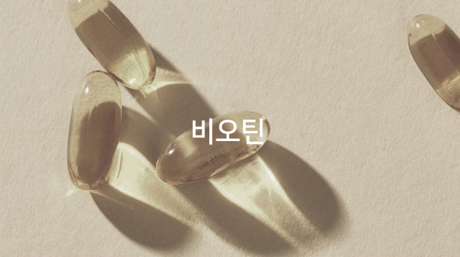 에이치몰 이미지
