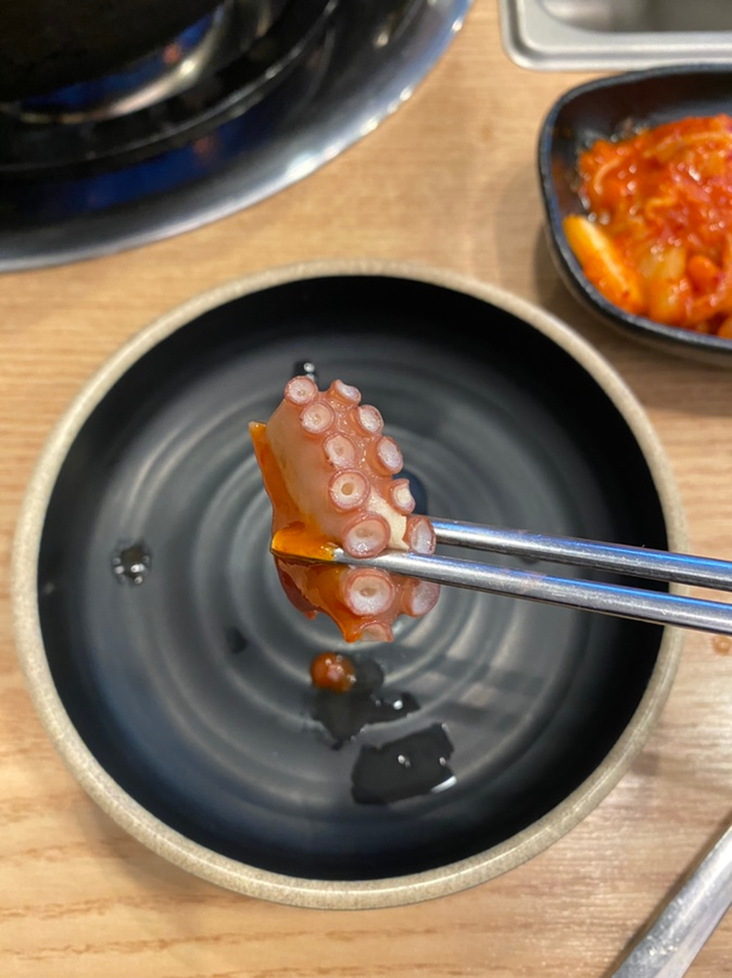 봉교네해남시즌2 이미지