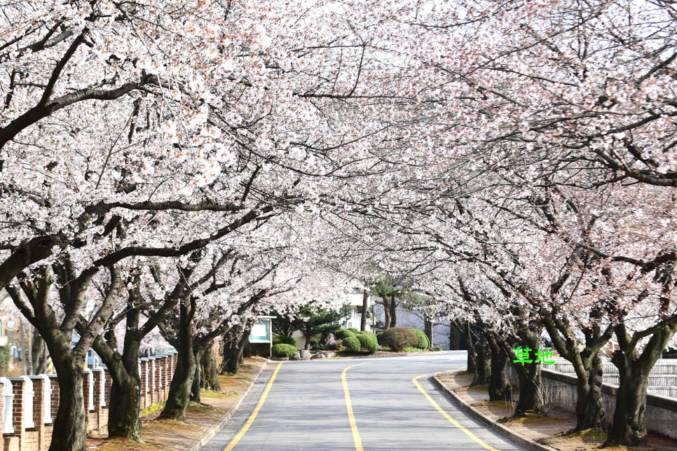 동천상사 이미지