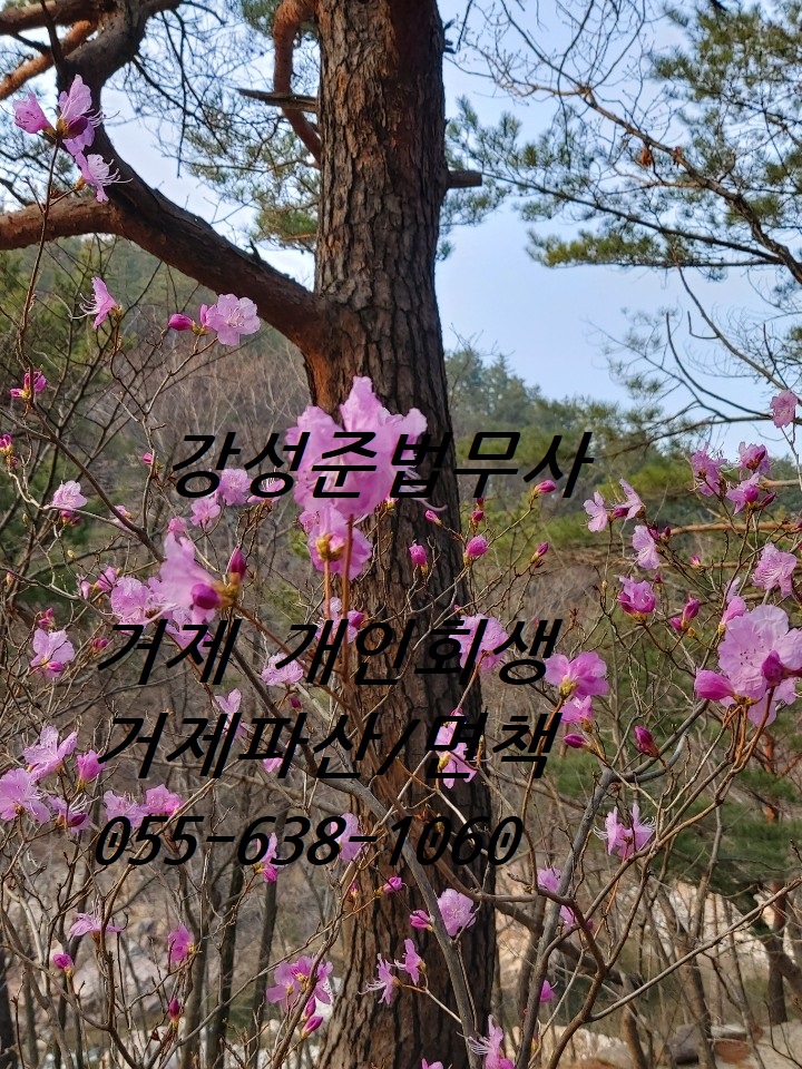 법무사강성준사무소 이미지