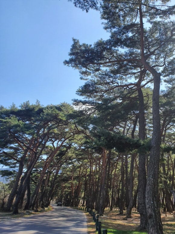오늘도콩닭콩닭 이미지