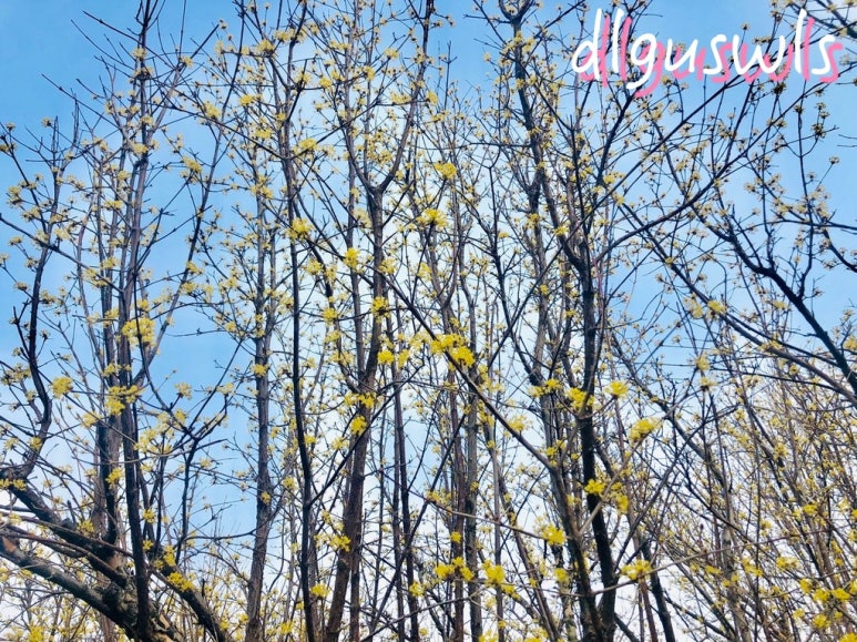 지리산 한우 직판장 이미지