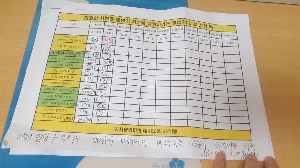 서영나우 이미지