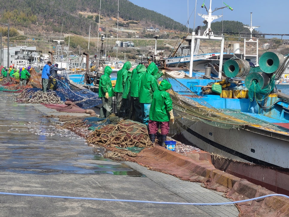 거제도젓갈 이미지