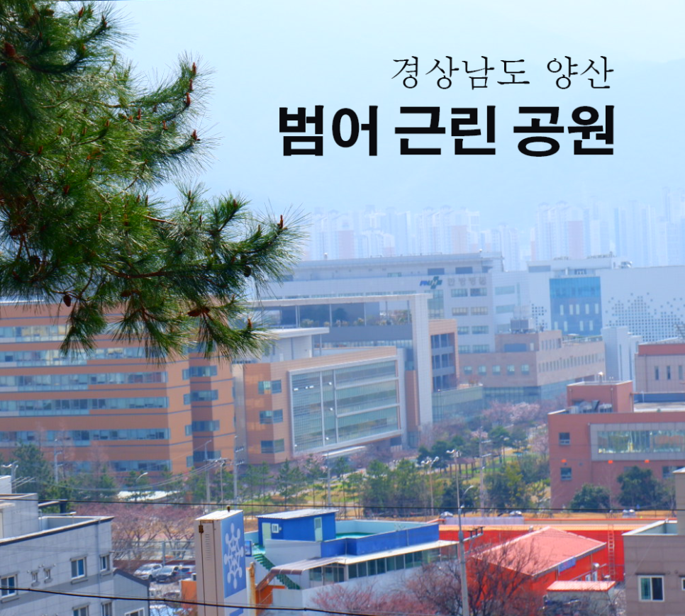 동중마을 이미지