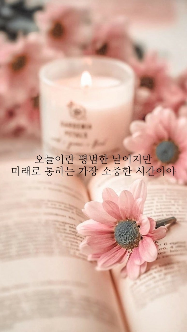 소중한지금 이미지