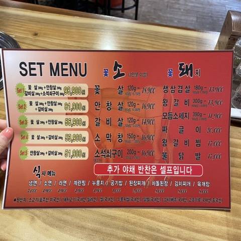 꽃보다소 이미지