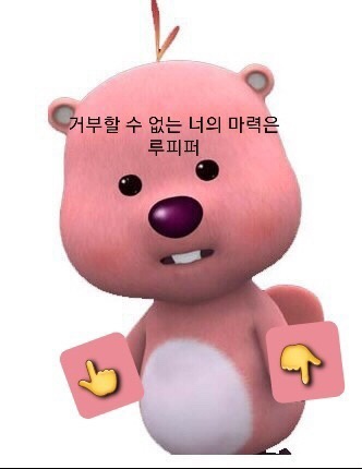 누샌드 이미지