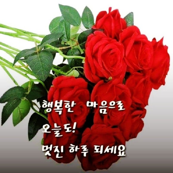 더에띠임 이미지