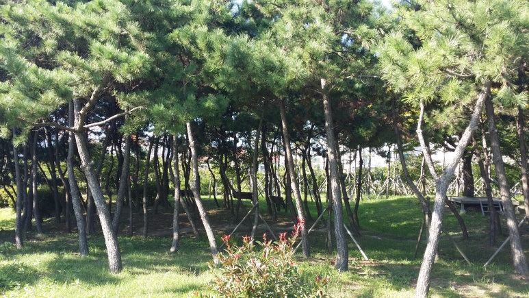 송림건축사사무소 이미지