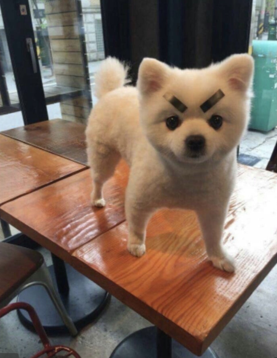 샛별투어 이미지