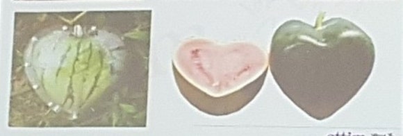 더에띠임 이미지