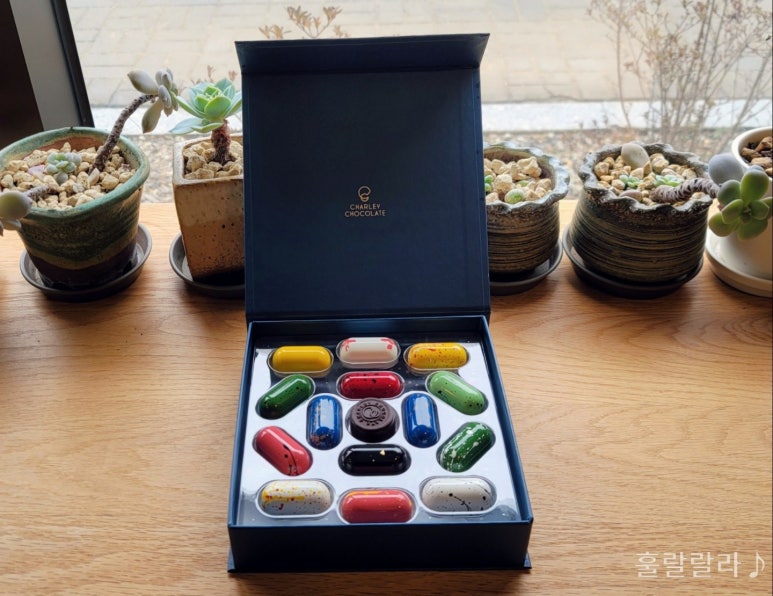 Charley Chocolate(찰리초콜렛) 이미지