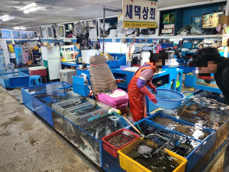 새댁상회 이미지
