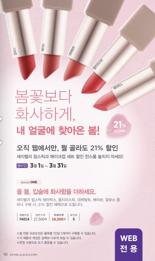 세이저온 이미지