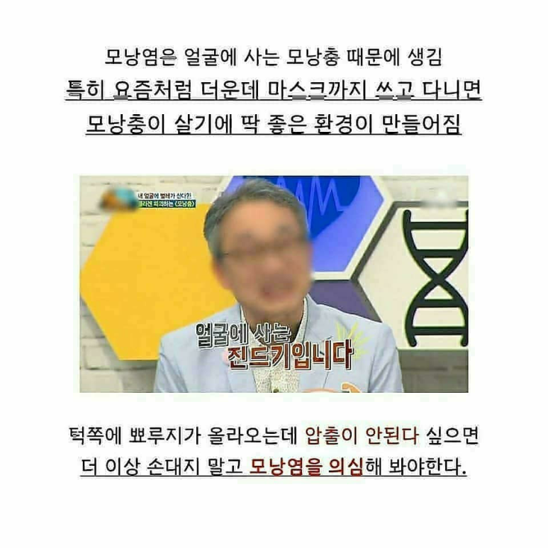 베스트 인셀덤 이미지