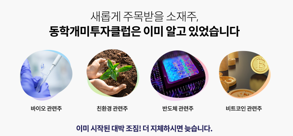 동학개미티브이 이미지