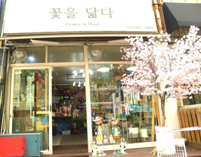 꽃을닮다 이미지