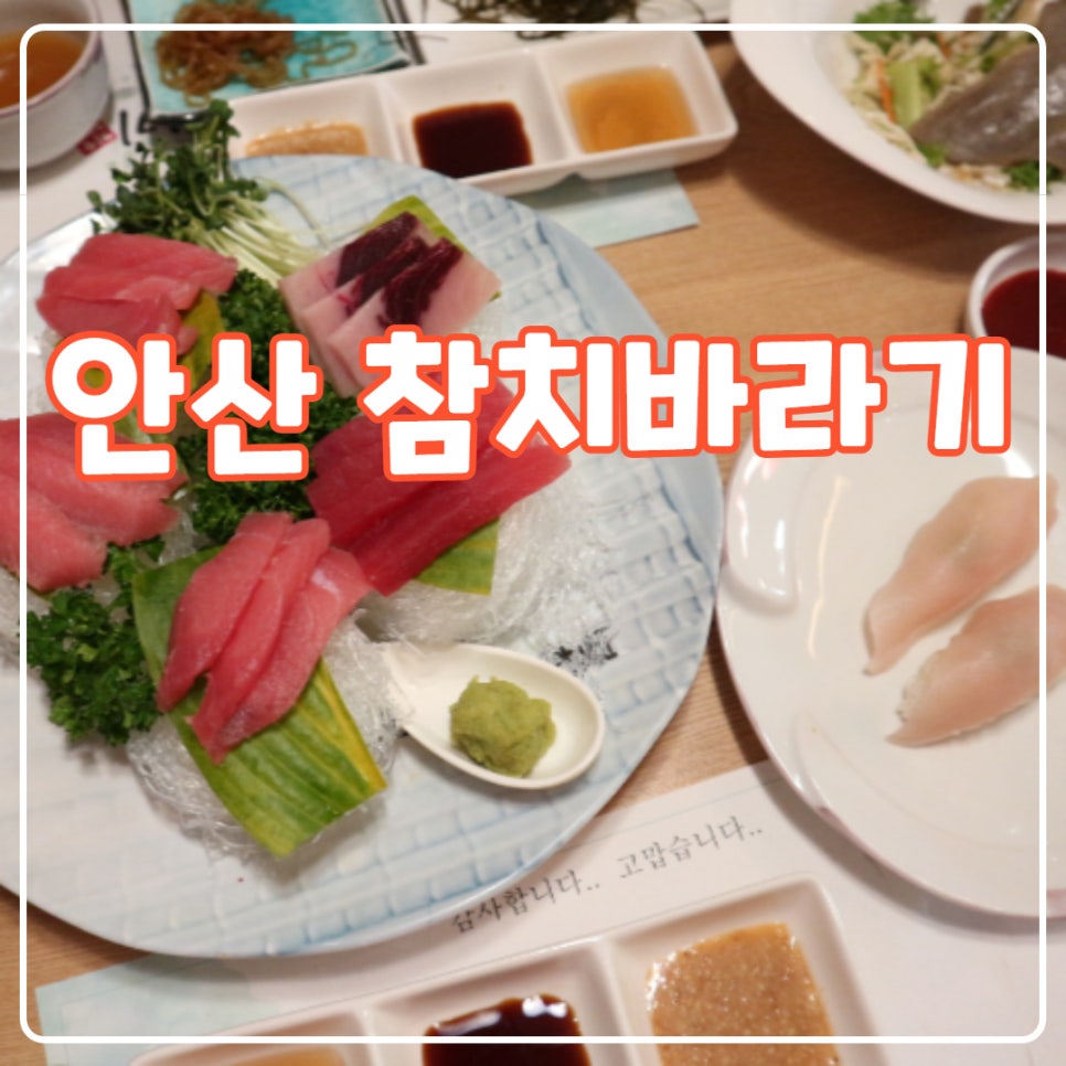 참치바라기 이미지