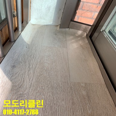 모도리클린 이미지