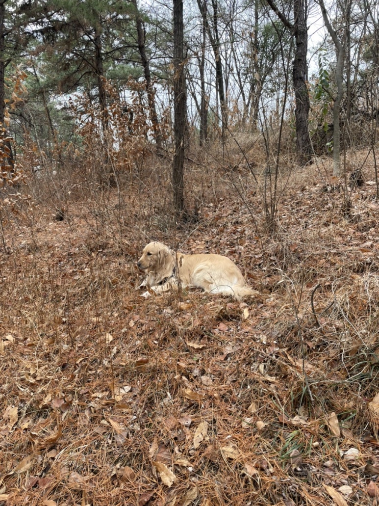 이곡생수공원 이미지