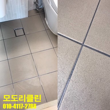 모도리클린 이미지