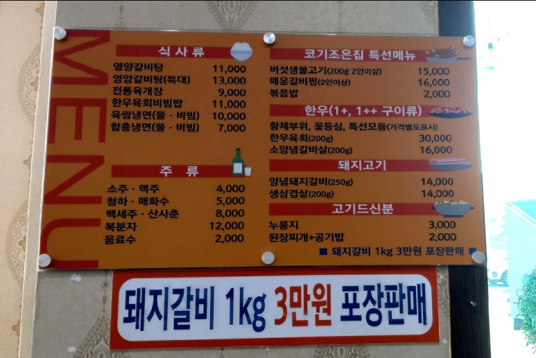 코기조은집 이미지