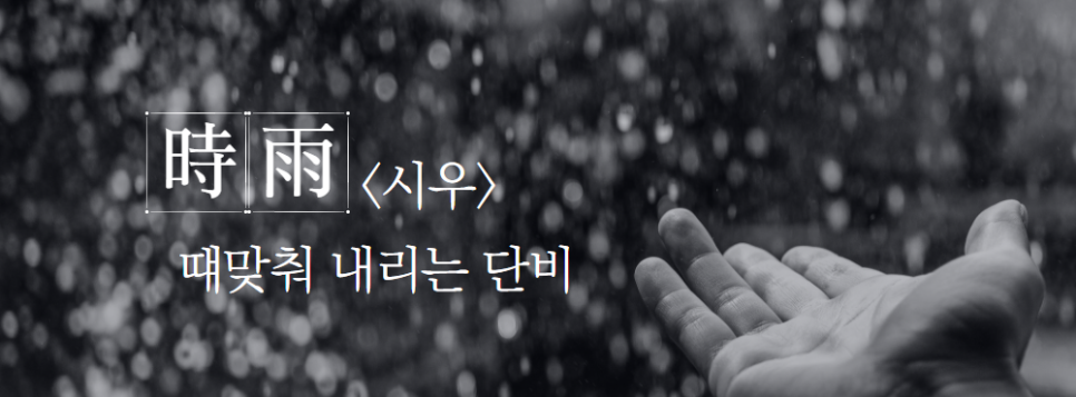 새빛법률사무소 이미지