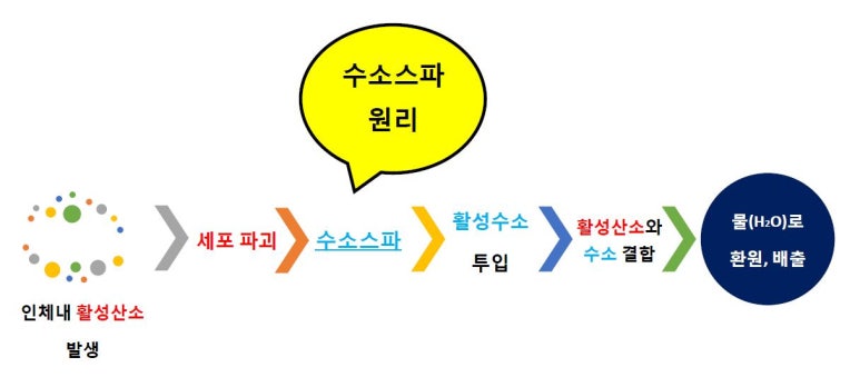 미샾 이미지
