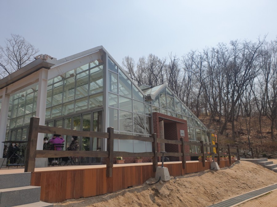 포레스트51 이미지