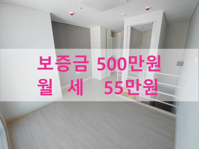 주식회사 라온베이 이미지