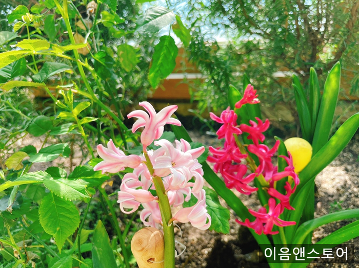 이음인테리어디자인 이미지