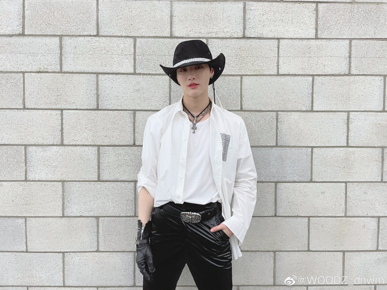 브이 이미지