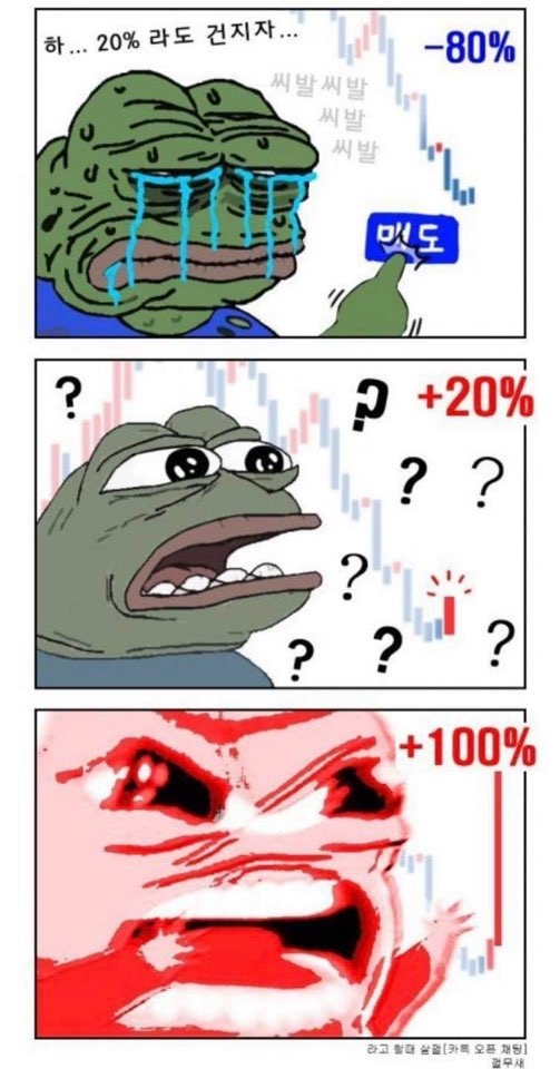 일5컷 이미지