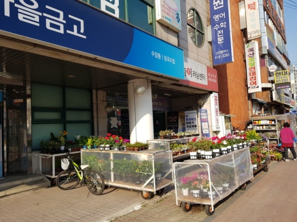 다솜화원 이미지