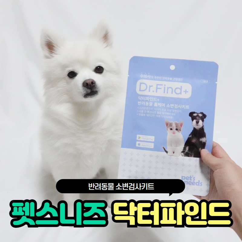 닥터파인드 이미지