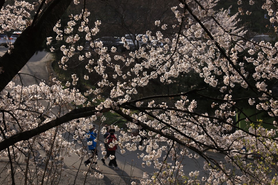 청주기업주 이미지