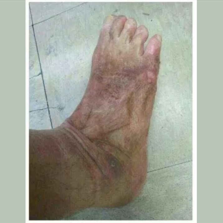 에스디이엔지 이미지