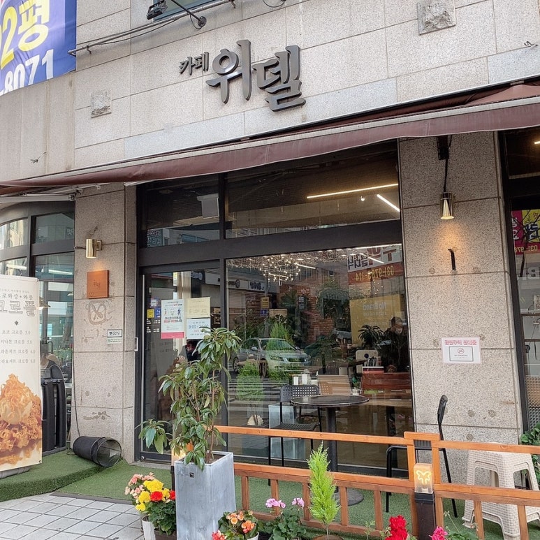위델커피 이미지
