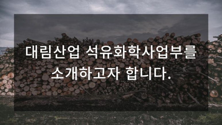 디엘코퍼레이션 이미지