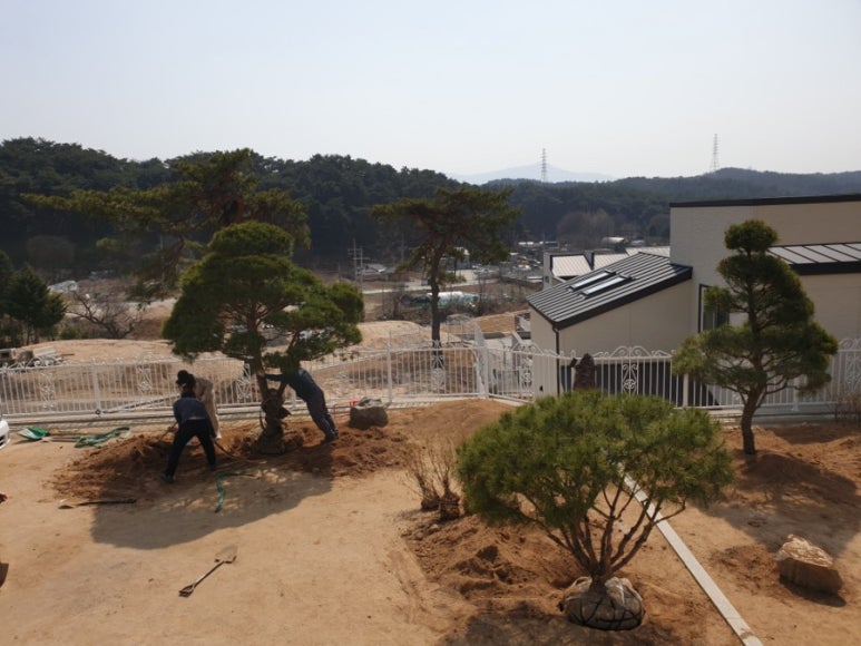 대룡조경 이미지