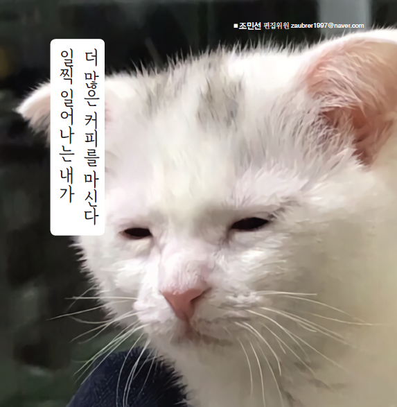 아침일찍일어나는참새 이미지