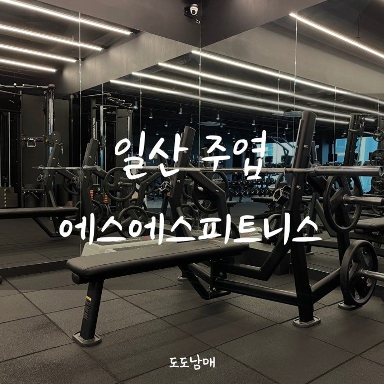 에스에스플라자 이미지