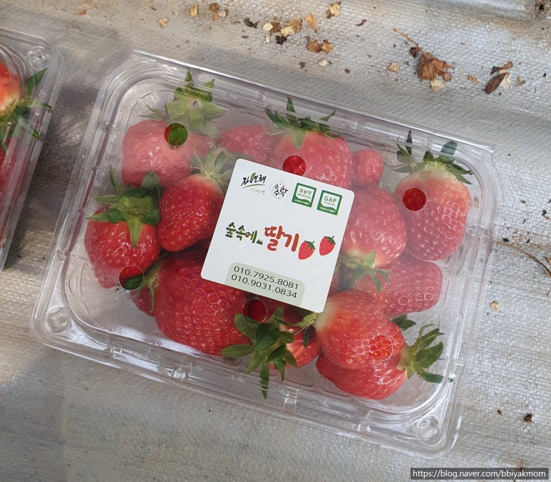 숲속에 딸기 이미지