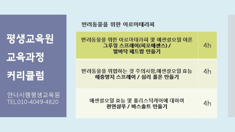 안나시랭평생교육원 이미지
