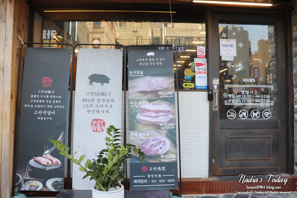 붕붕노래연습장 이미지
