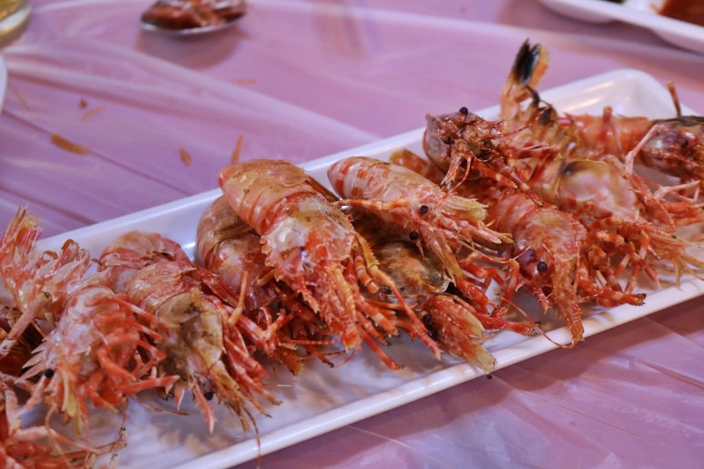 속초 포장마차 이미지