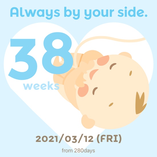 넥스트모빌 이미지