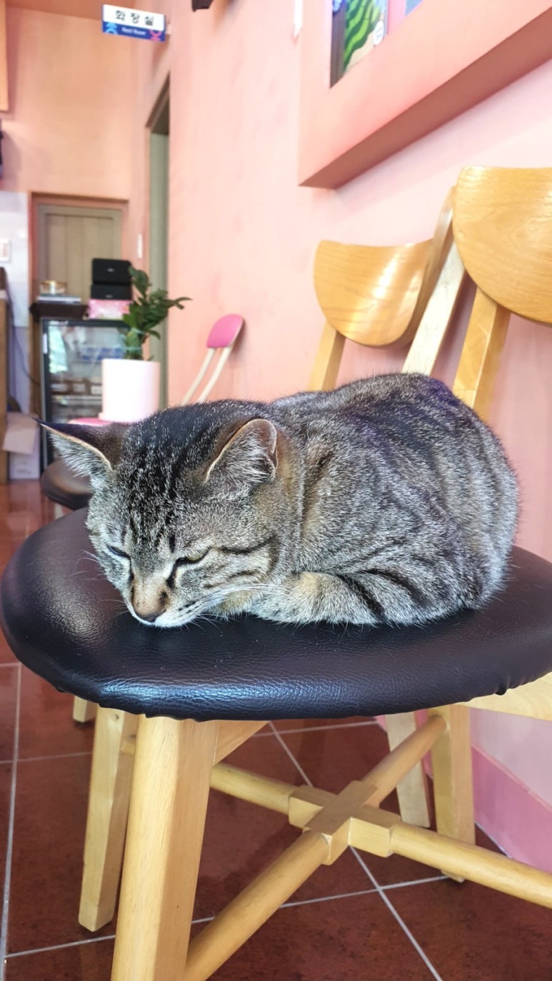 다랭이918 이미지
